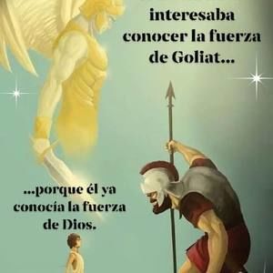 Meet your Posher, Roger